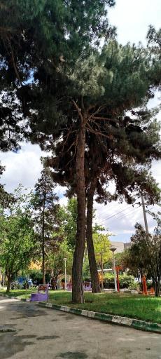 عکس بوستان کودک