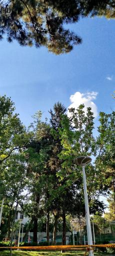 عکس بوستان کودک