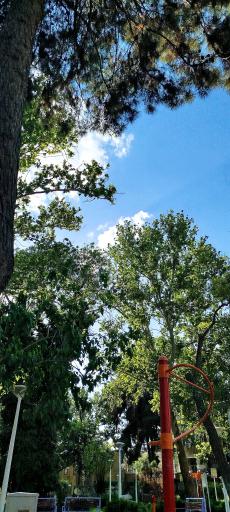 عکس بوستان کودک