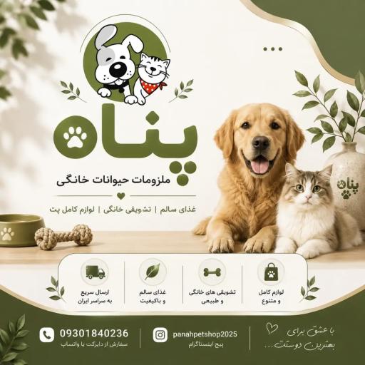 عکس پت شاپ پناه
