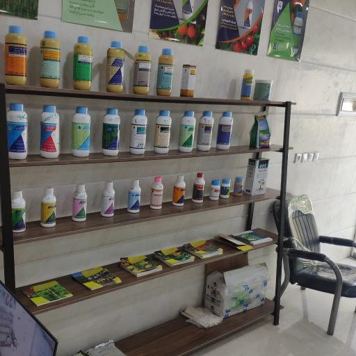 عکس شرکت آوان کشت مروارید خوزستان 