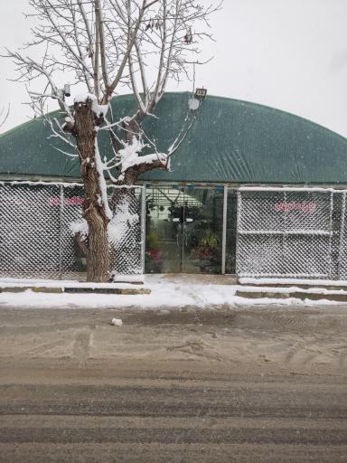 عکس فروشگاه گل و گیاه پارادایس