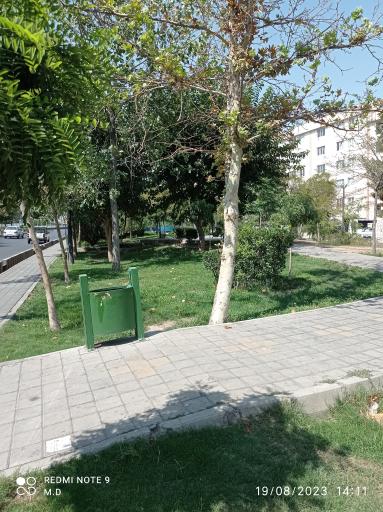 پارک شجاعی 