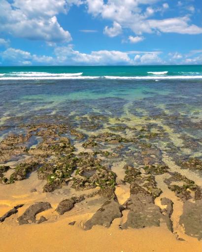 عکس ساحل صخره ای نایبند