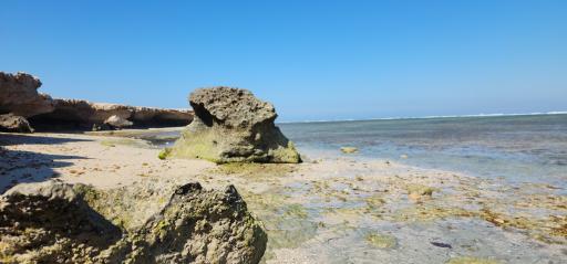 عکس ساحل صخره ای نایبند