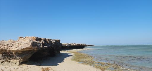 عکس ساحل صخره ای نایبند