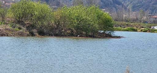 عکس استخردیوشل