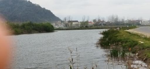 عکس استخردیوشل