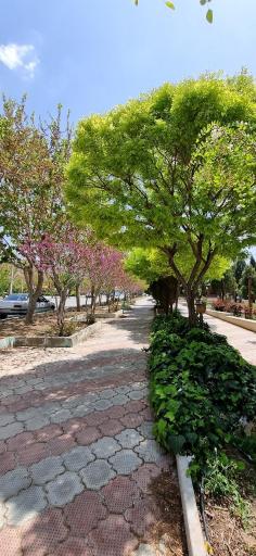 عکس دانشگاه آزاد اسلامی واحد اصفهان (خوراسگان)