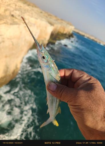 عکس ساحل صخره ای نایبند