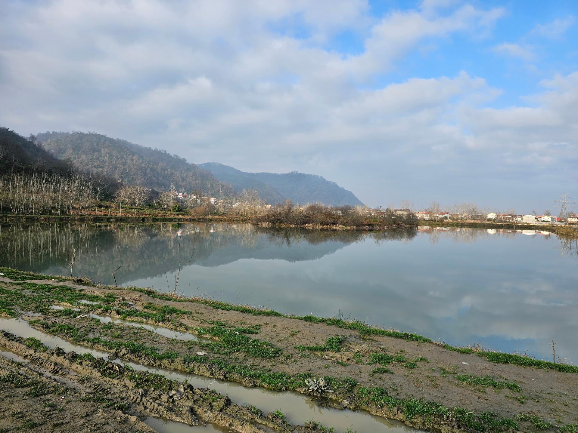 عکس استخردیوشل