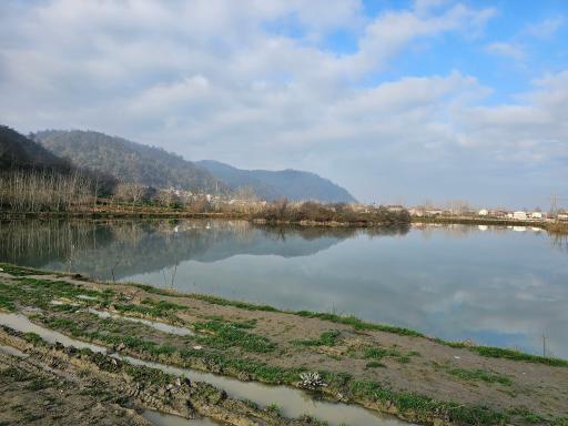 استخردیوشل