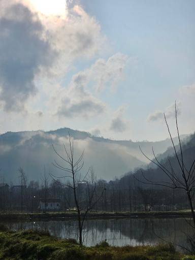 عکس استخردیوشل