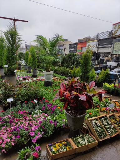 عکس بازار گل فتح‌آباد