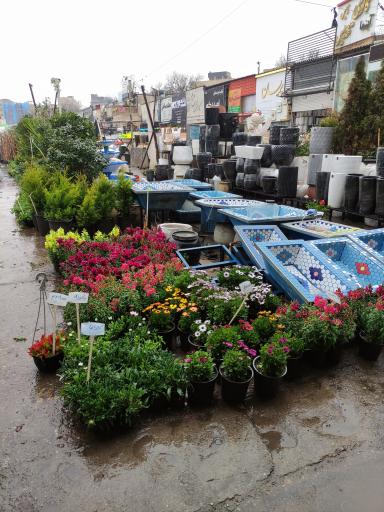 عکس بازار گل فتح‌آباد