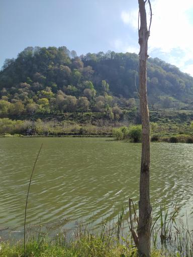 عکس استخردیوشل