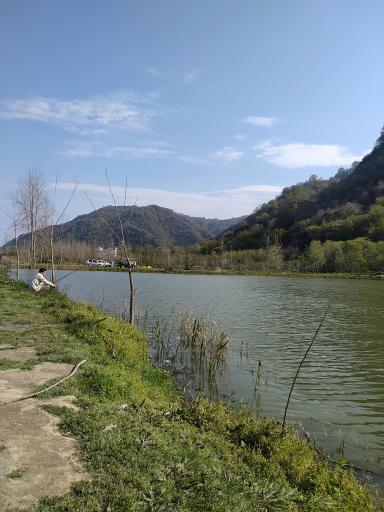 عکس استخردیوشل