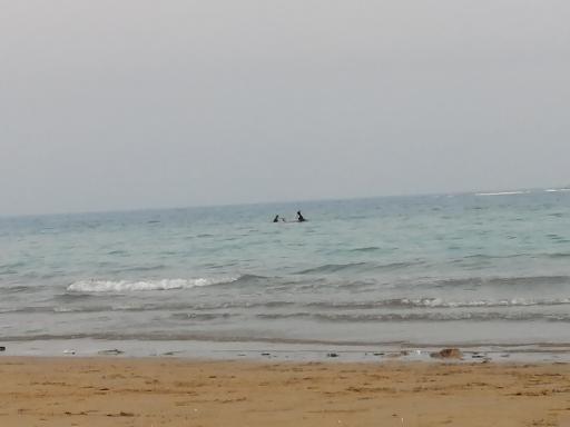 عکس ساحل صخره ای نایبند