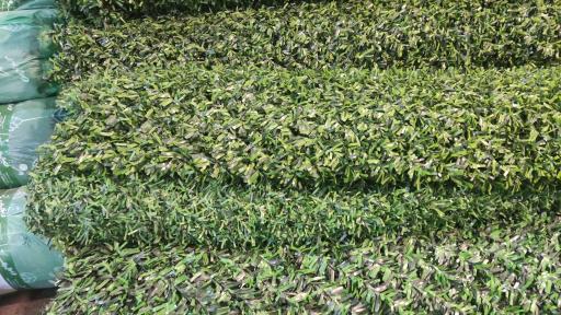 عکس بازار گل فتح‌آباد