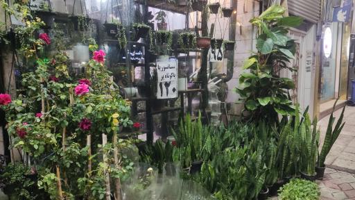 بازار گل فتح‌آباد