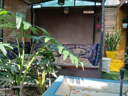 عکس کبابی دایی مجید