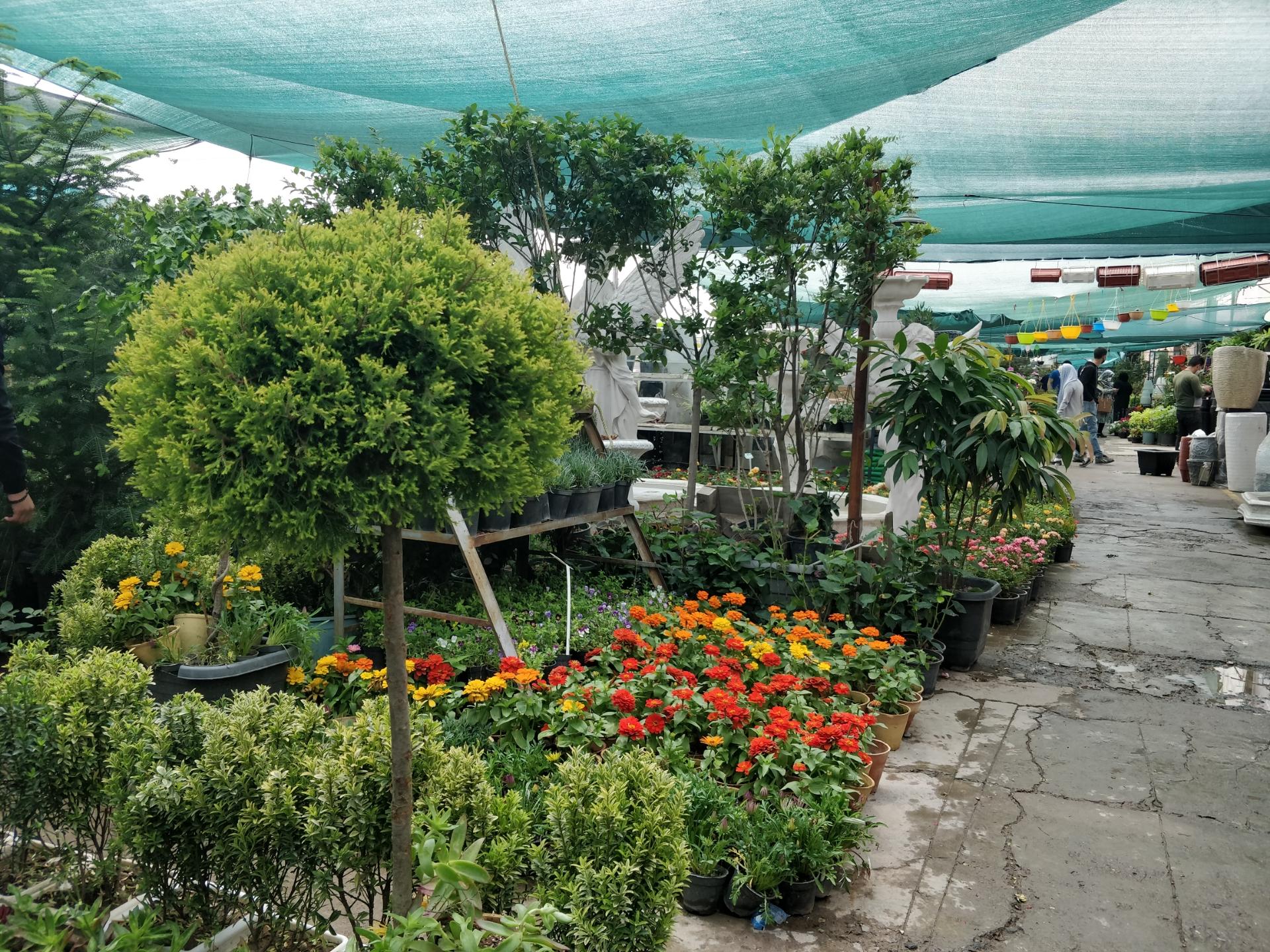 عکس بازار گل فتح‌آباد