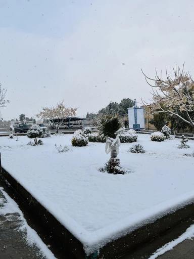 عکس دانشگاه آزاد اسلامی واحد اصفهان (خوراسگان)