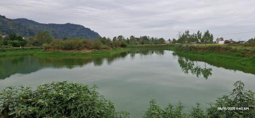 عکس استخردیوشل