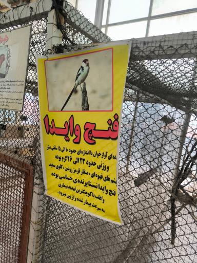 عکس باغ پرندگان قمصر