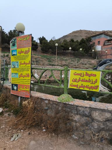 عکس باغ پرندگان قمصر