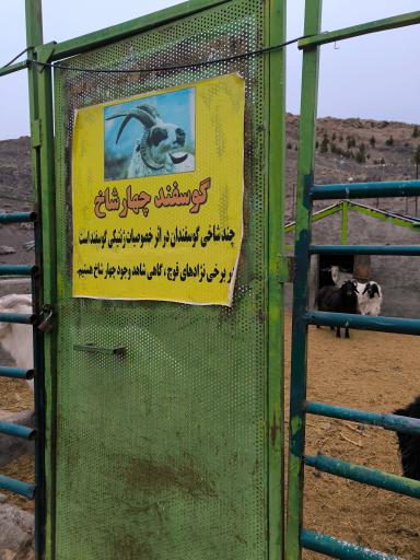 عکس باغ پرندگان قمصر