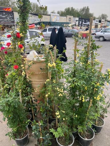 بازار گل فتح‌آباد