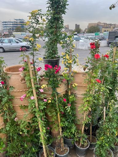 بازار گل فتح‌آباد