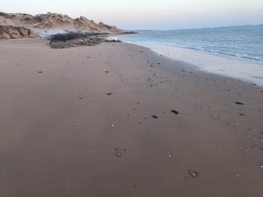 عکس ساحل صخره ای نایبند