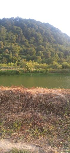 استخردیوشل