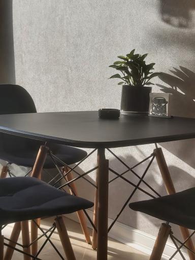 عکس کافه رامو