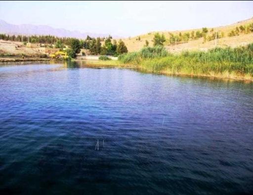 عکس سراب مورت