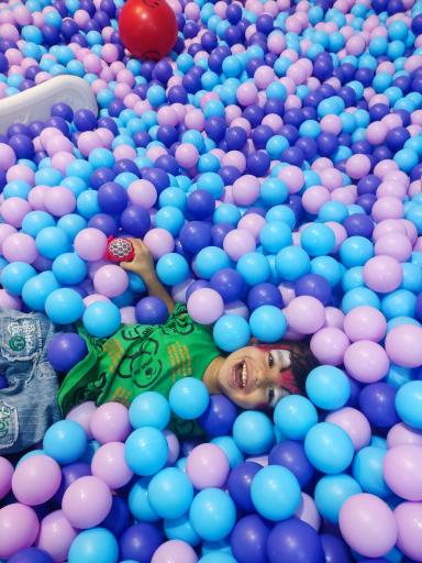 عکس سرزمین دولفینو