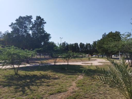 عکس پارک ولایت