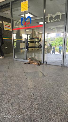 عکس بیمارستان میلاد تهران