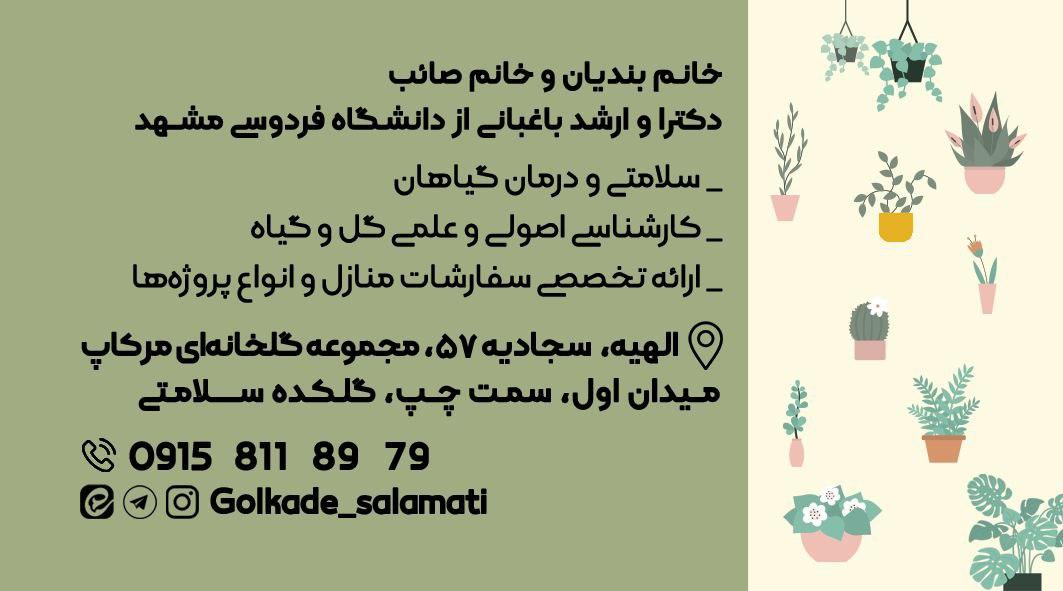 عکس گلکده سلامتی