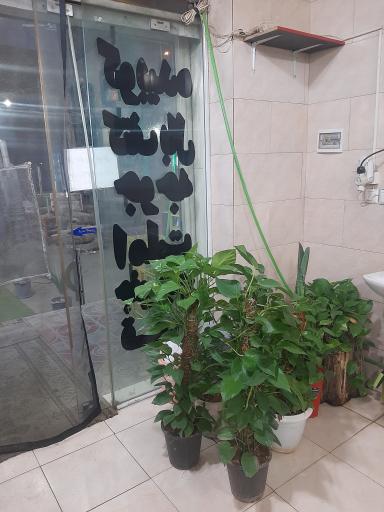 عکس دل جگر قلوه عمو مسعود