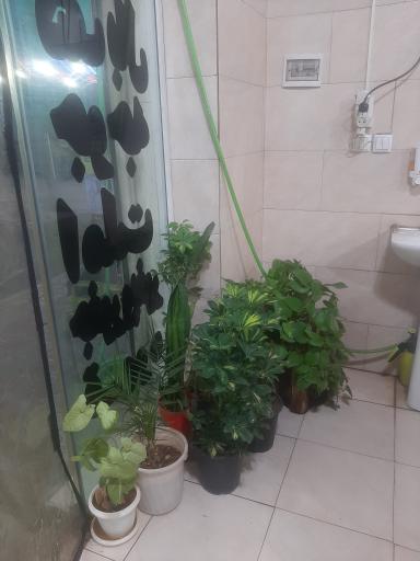 عکس دل جگر قلوه عمو مسعود