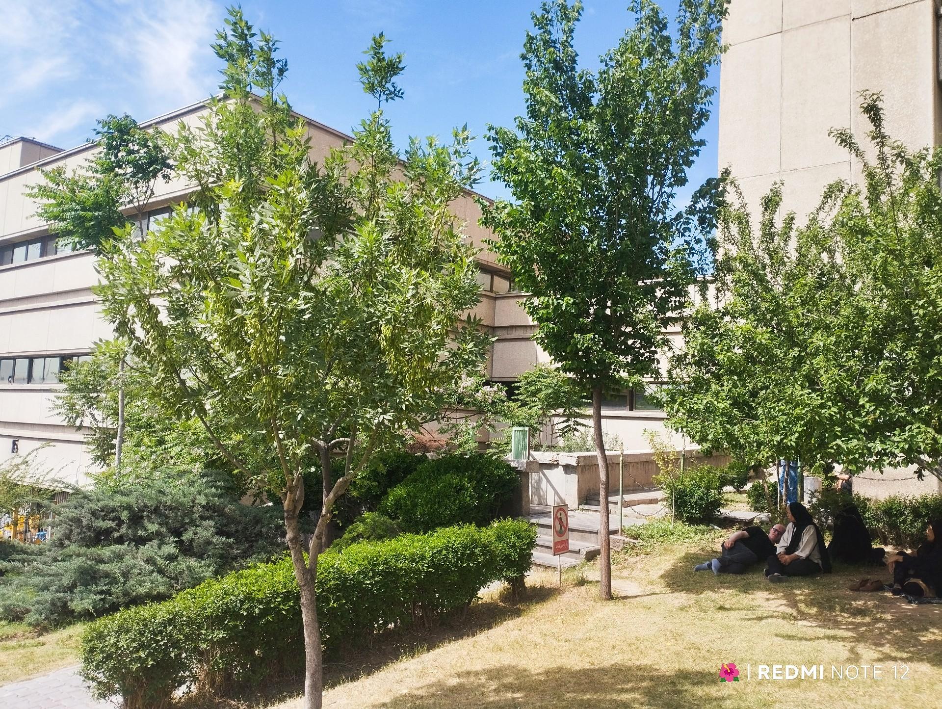 عکس بیمارستان میلاد تهران