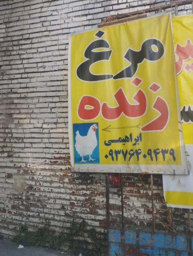 عکس مرغ فروشی زنده ابراهیمی