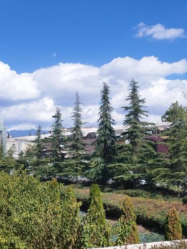 عکس باغ هنر