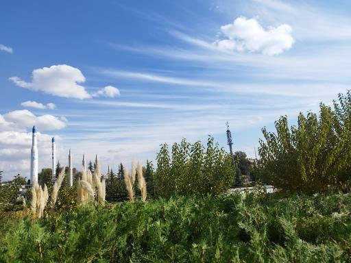 عکس باغ هنر