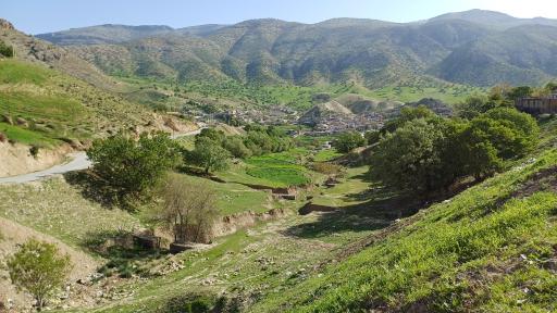 عکس سرخون