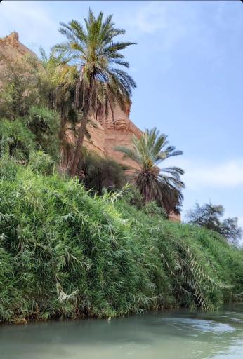 عکس نهر گرگر