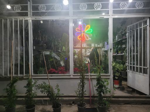 عکس گل فروشی مزرعه آبشار طلا